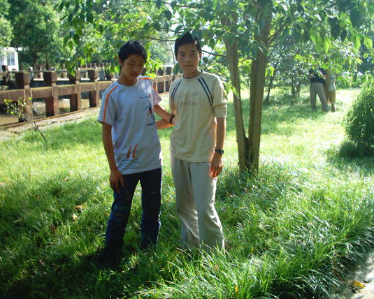 2006  (65)